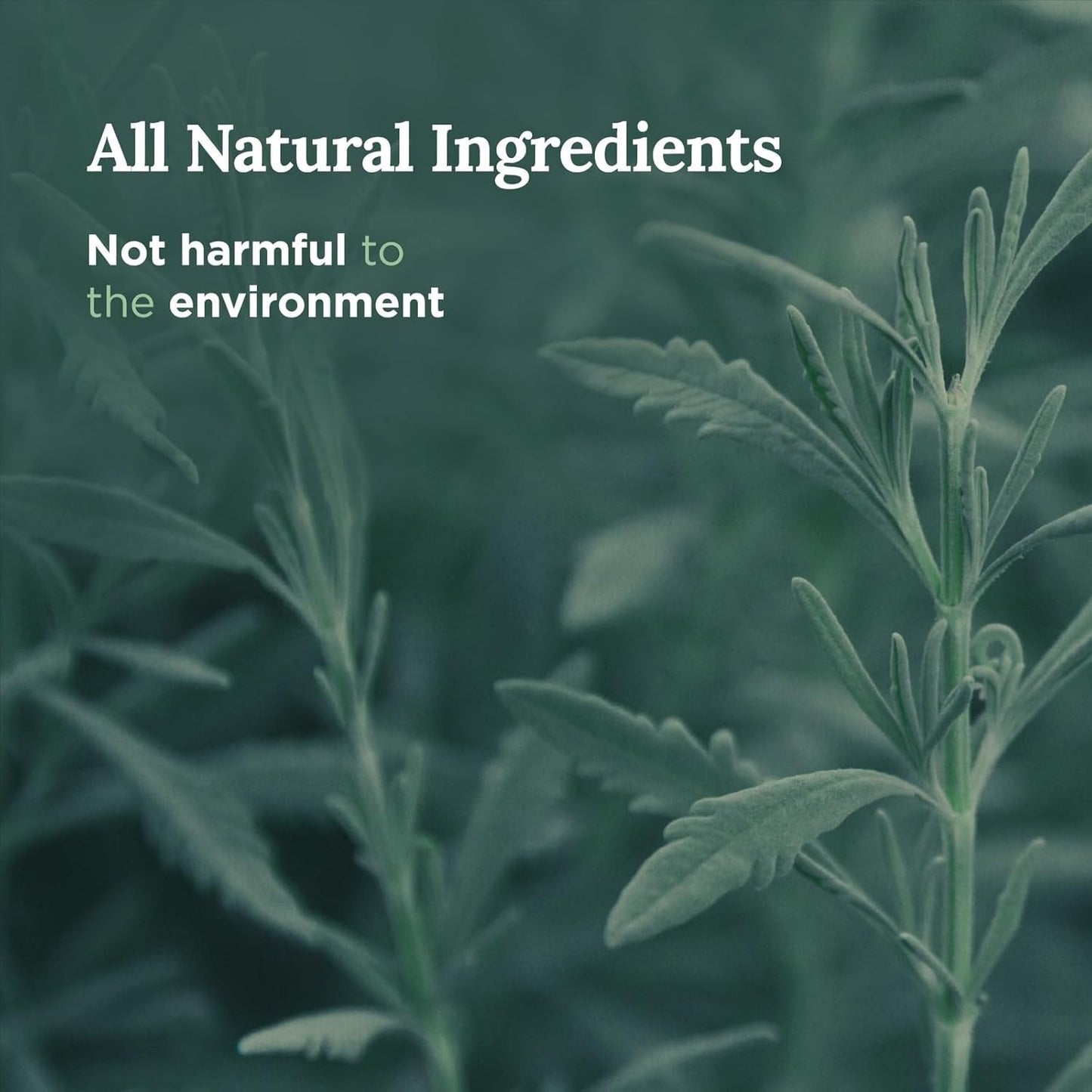 Set of 3 Long Lasting Pure Sage Smudge Candles - 42-Hour Burn, 3.5 Oz Each, Soy Wax, Sage Cleansing for House Energy, Meditation & Manifestation