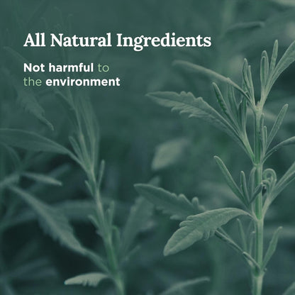 Set of 3 Long Lasting Pure Sage Smudge Candles - 42-Hour Burn, 3.5 Oz Each, Soy Wax, Sage Cleansing for House Energy, Meditation & Manifestation