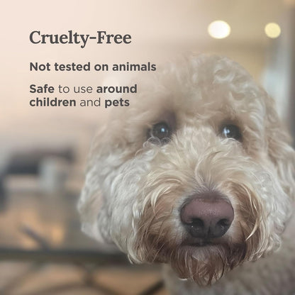 Long Lasting Full Moon Aromatherapy Candle with Sage, Frankincense, Sandalwood, Rose & Cedar | 6 Oz - 35 Hour Burn | All Natural Soy Wax Candle for Manifestation, Culmination & Release