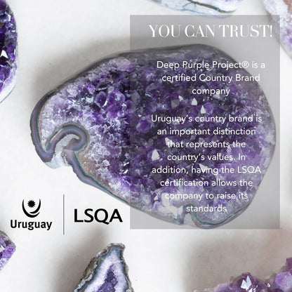 Large Amethyst Crystal Rock 1.5 to 2 Lb Raw Clusters from Uruguay Quartz Geode (600 Grams to 900 Grams)