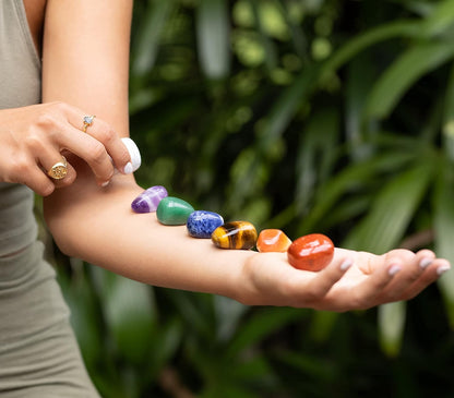 Collections 2024 (NA)