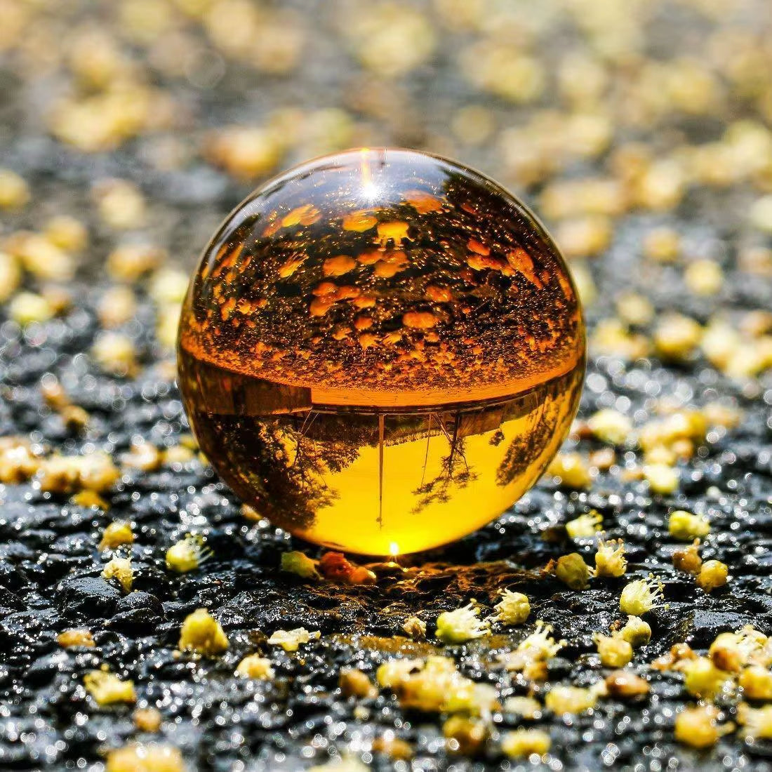 Amber Asian Rare Natural Quartz Magic Crystal Healing Ball Sphere 40/50/60Mm