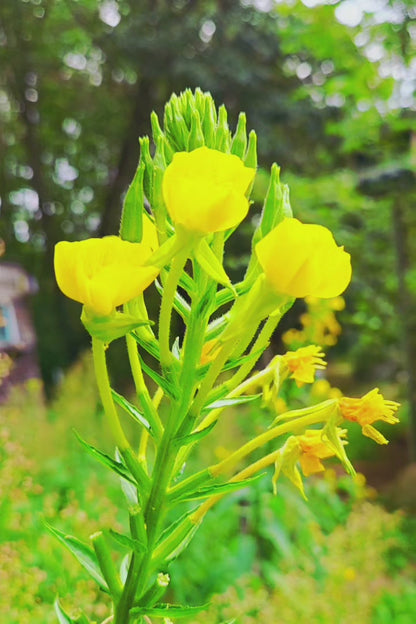 Hand-Made Seed-Beaded Tennis Bracelets