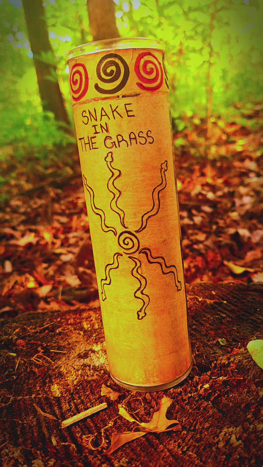 SNAKE IN THE GRASS