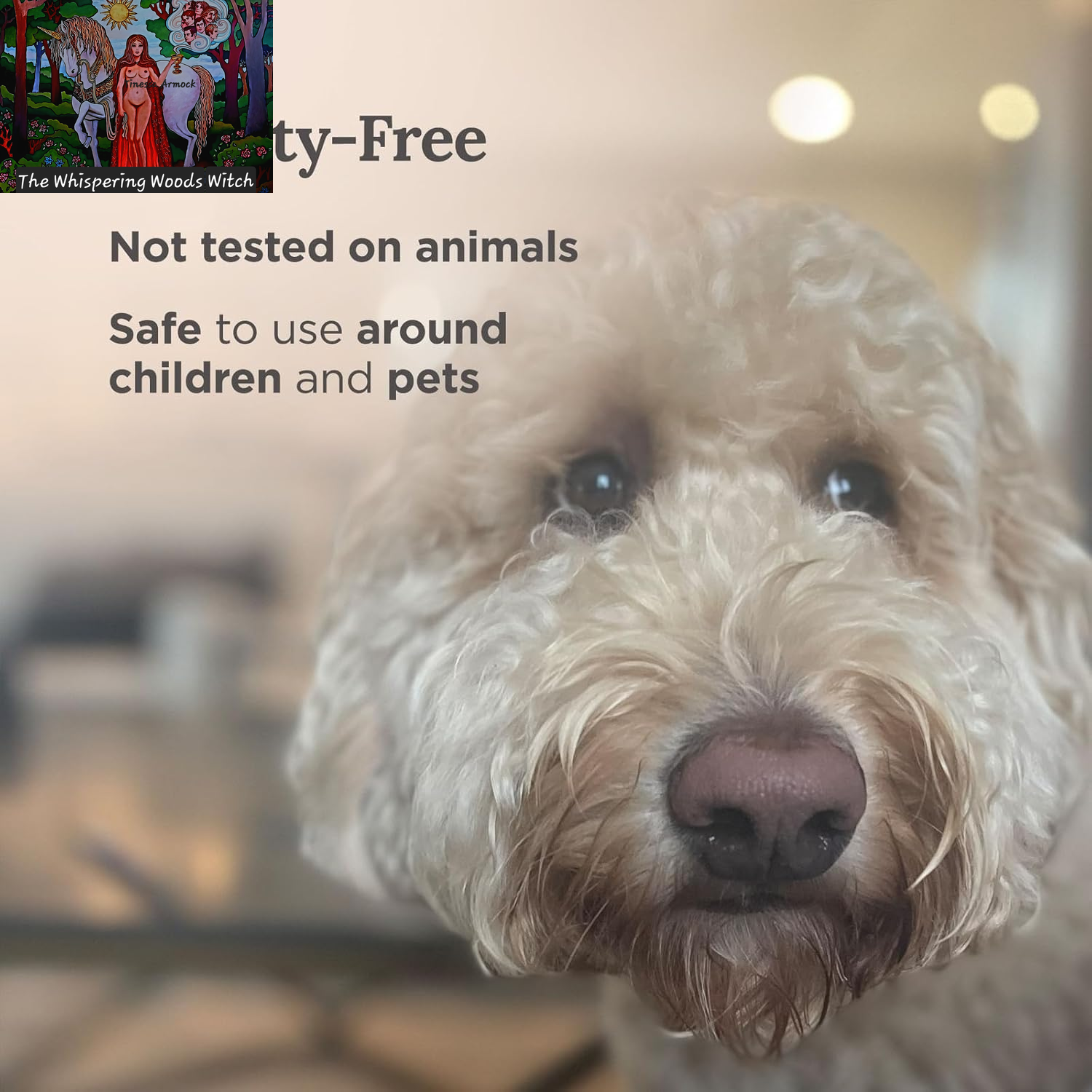 Long Lasting Rose Scented Smudge Candle | 6 Oz - 35 Hour Burn | Soy Wax Candle for Manifestation, Purification & House Energy Cleansing | Love Soars the Heart