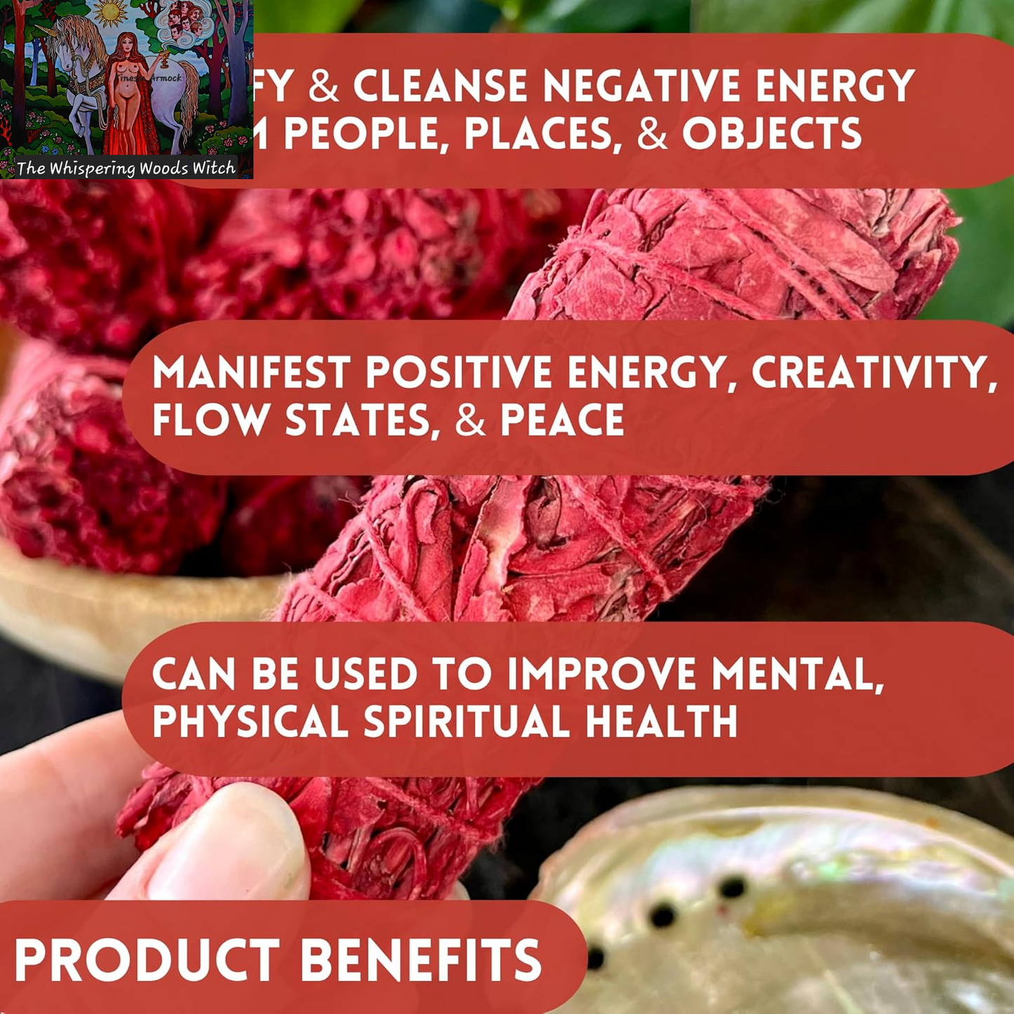 Ancient VEDA Organic Smudge Kit – Dragon'S Blood, Palo Santo, Sweetgrass, Abalone Shell, Feather & Smudge Guide | Smudging Kit for Home Energy Cleansing, Meditation (Healer'S Kit, Dragon'S Blood Sage)