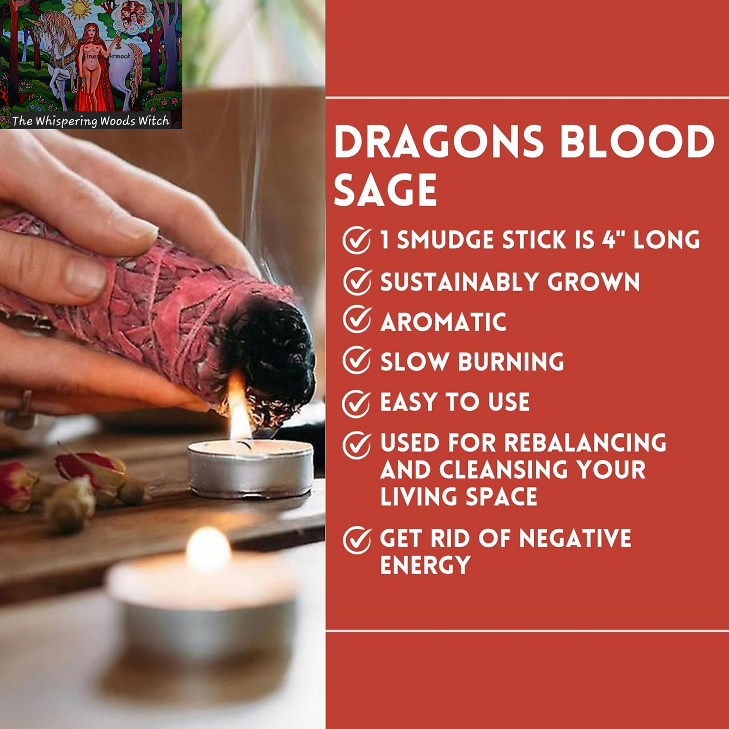 Ancient VEDA Organic Smudge Kit – Dragon'S Blood, Palo Santo, Sweetgrass, Abalone Shell, Feather & Smudge Guide | Smudging Kit for Home Energy Cleansing, Meditation (Healer'S Kit, Dragon'S Blood Sage)
